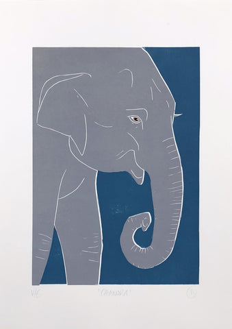 Linostudio Druck ,Chandra der Elefant' - Zirkuss